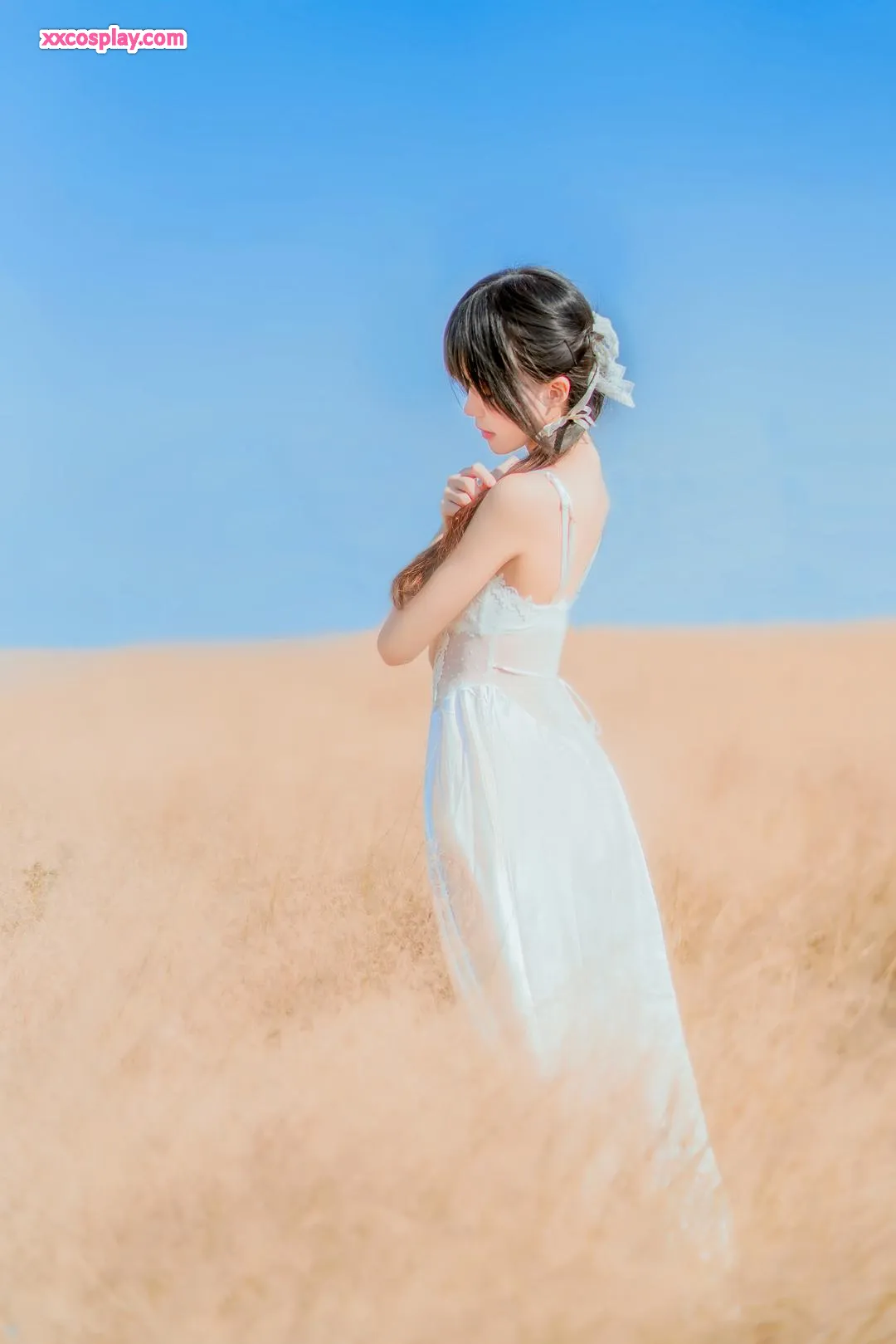 Sakura Meow: Romance in the Wilderness